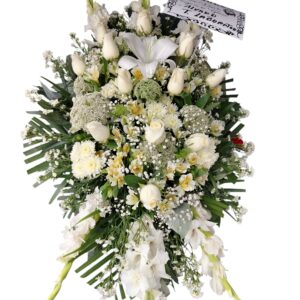 Lagrima Blanca