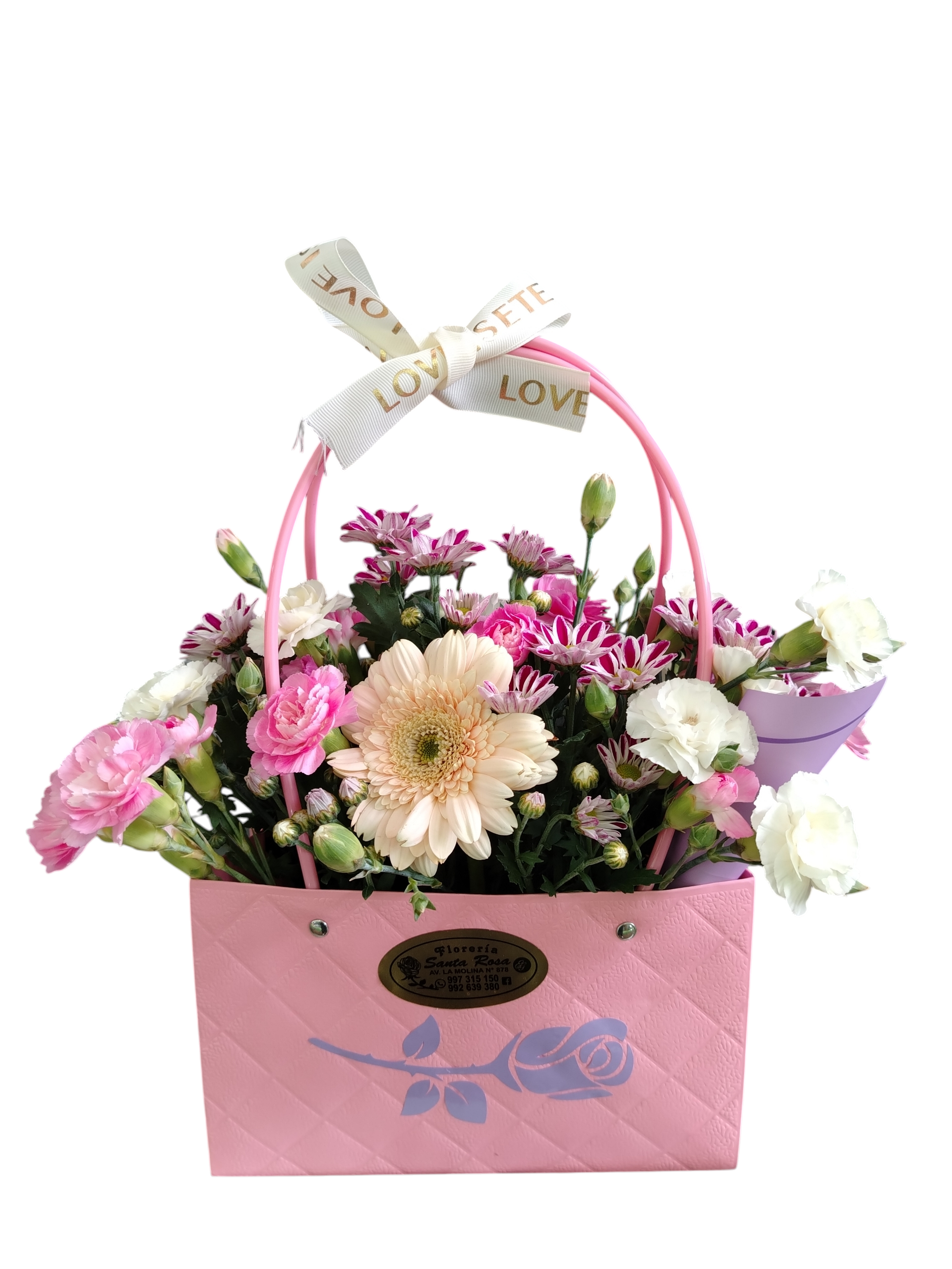 Cartera de Gerberas