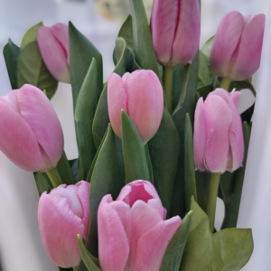 Alternative view of Ramo de Tulipanes Rosados
